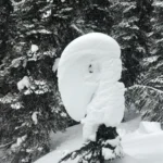 Powder Canada